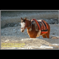 17916 12 007 Petra Jordanien 2011.jpg